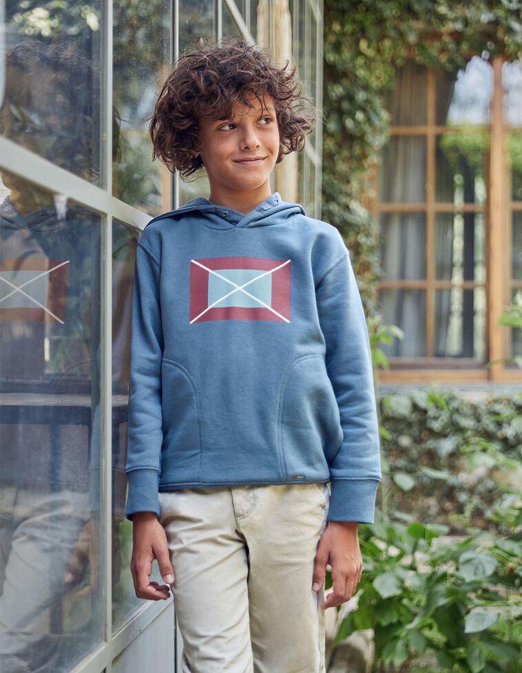 Sudadera Con Capucha Con Bandera Estampada Azul Medio