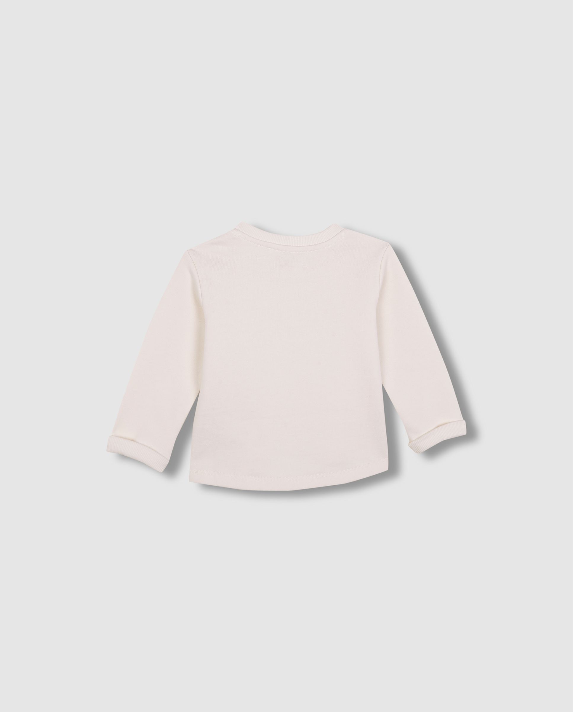  image number 2