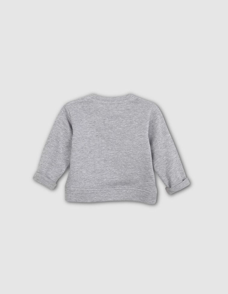 Sudadera felpa gris con bordado