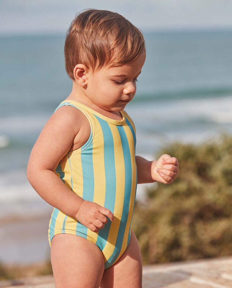 Ba&ntilde;ador de rayas azul