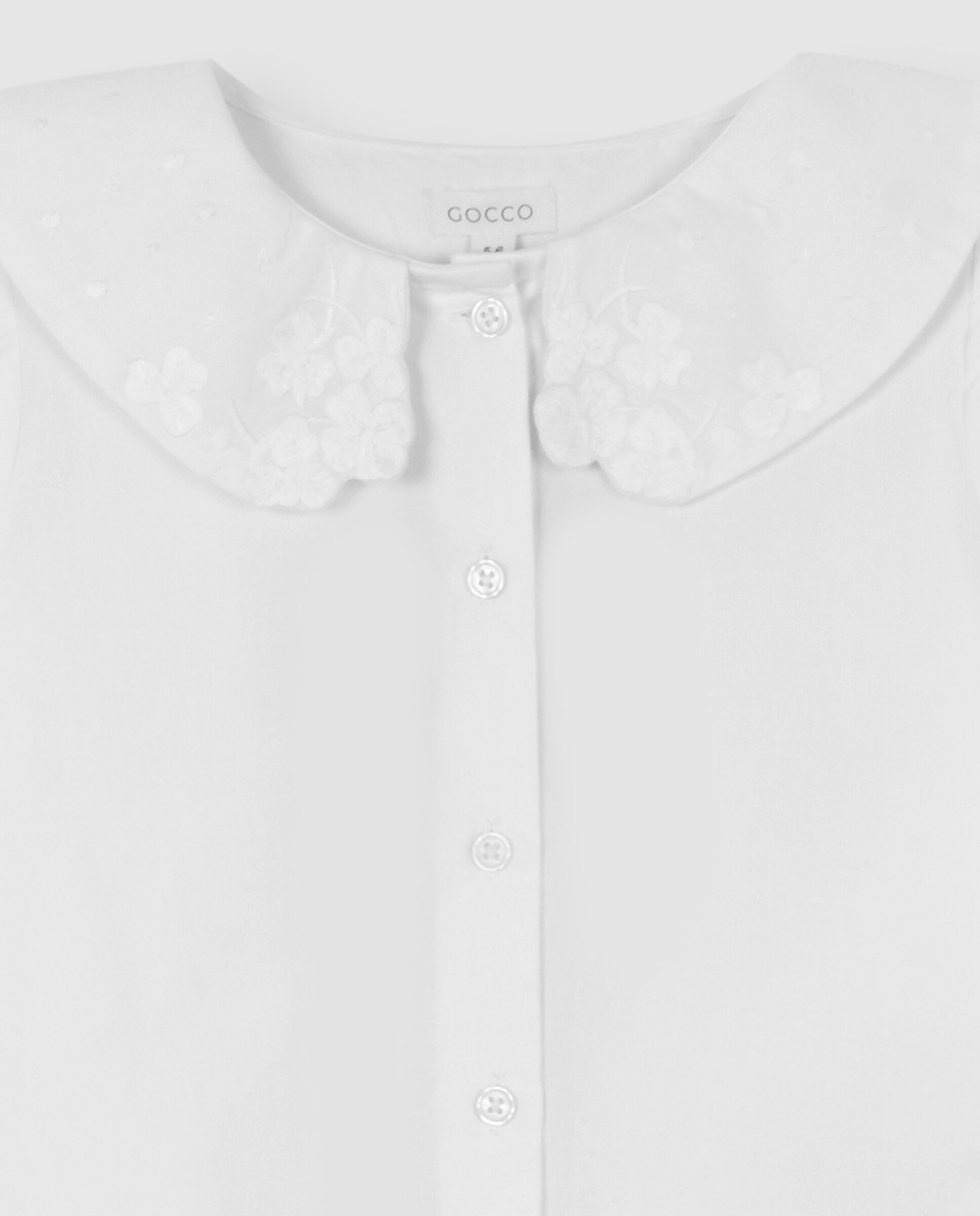  image number 4