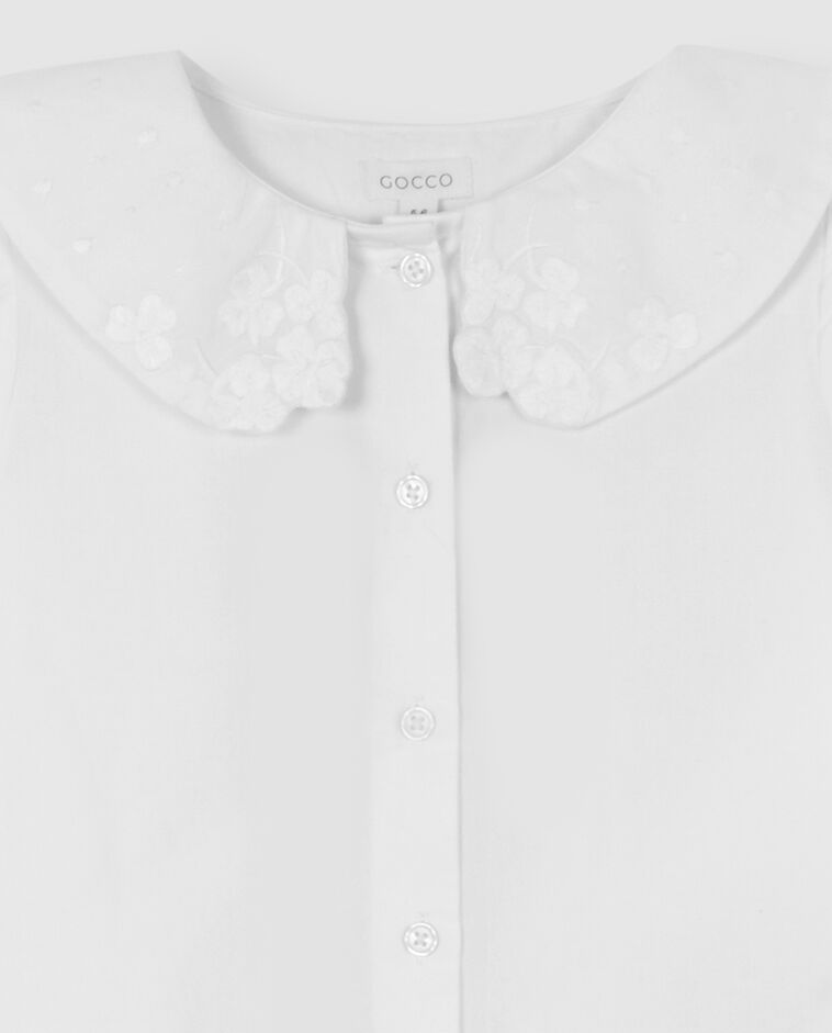  image number 4