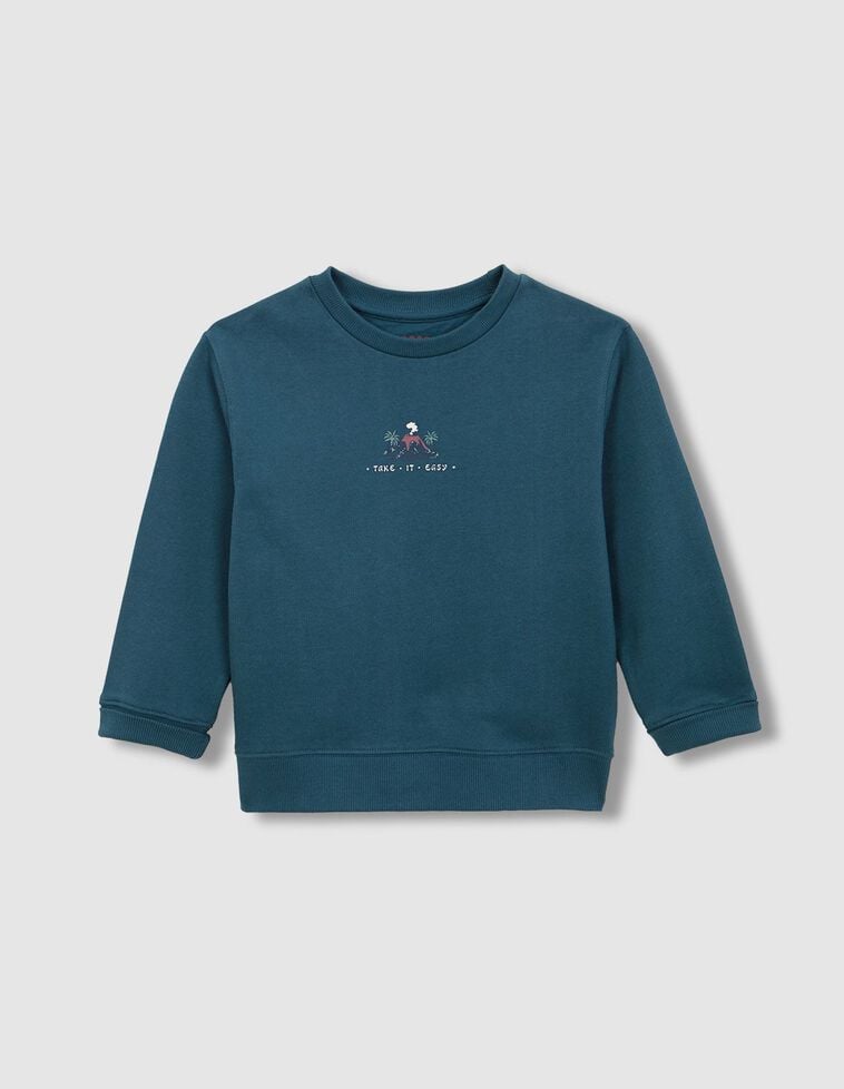 Sudadera volcan print verde