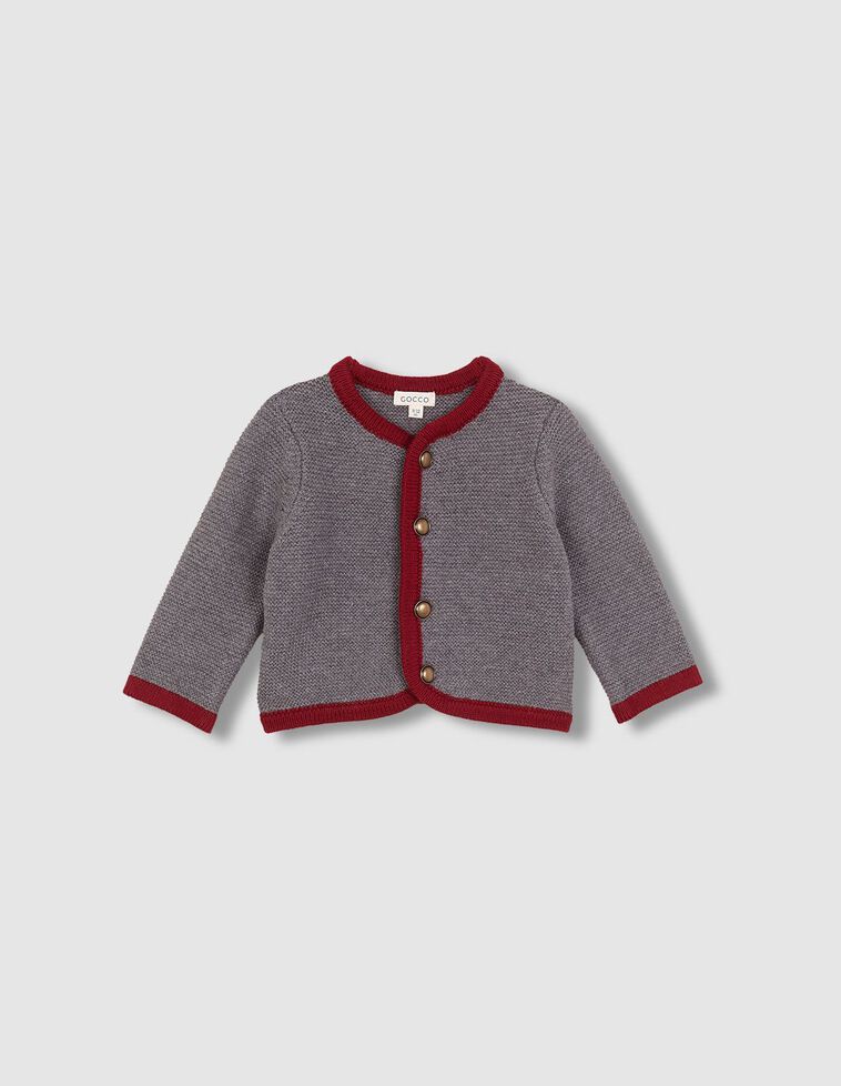 Chaqueta tipo austriaca gris con lana