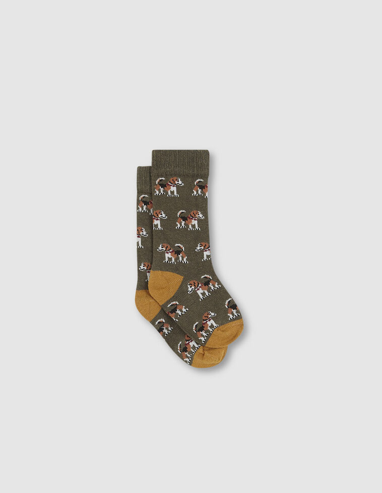 Calcetines fantasía perros