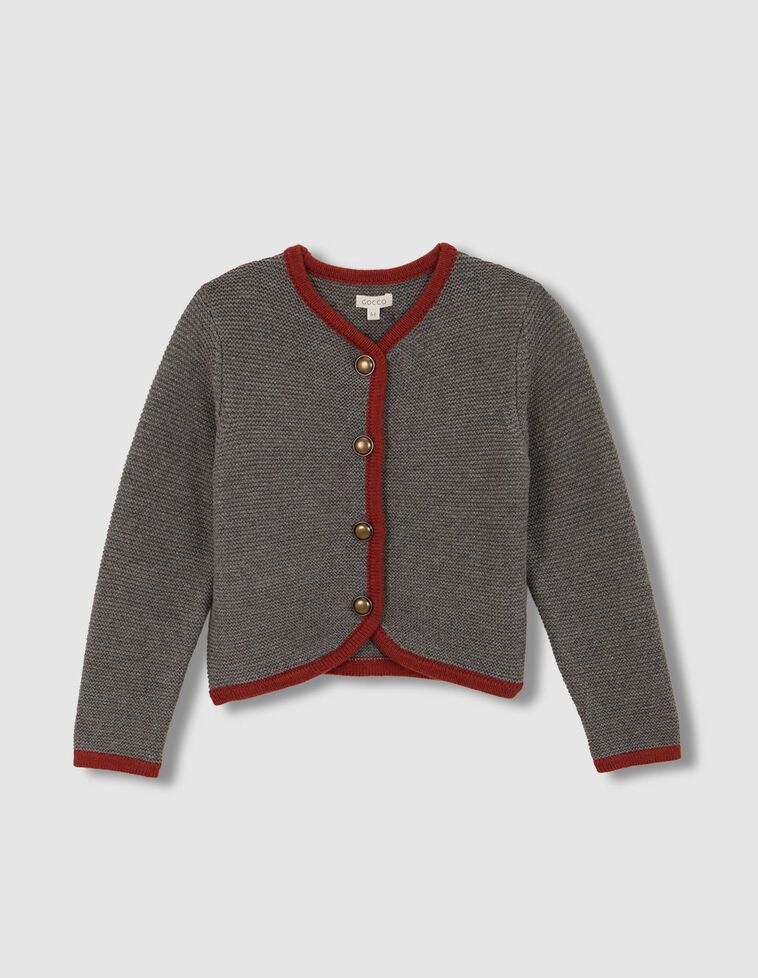 Chaqueta tipo austriaca gris